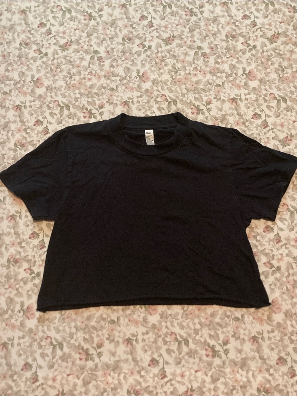 Los Angeles Apparel Fine Jersey Crop Top